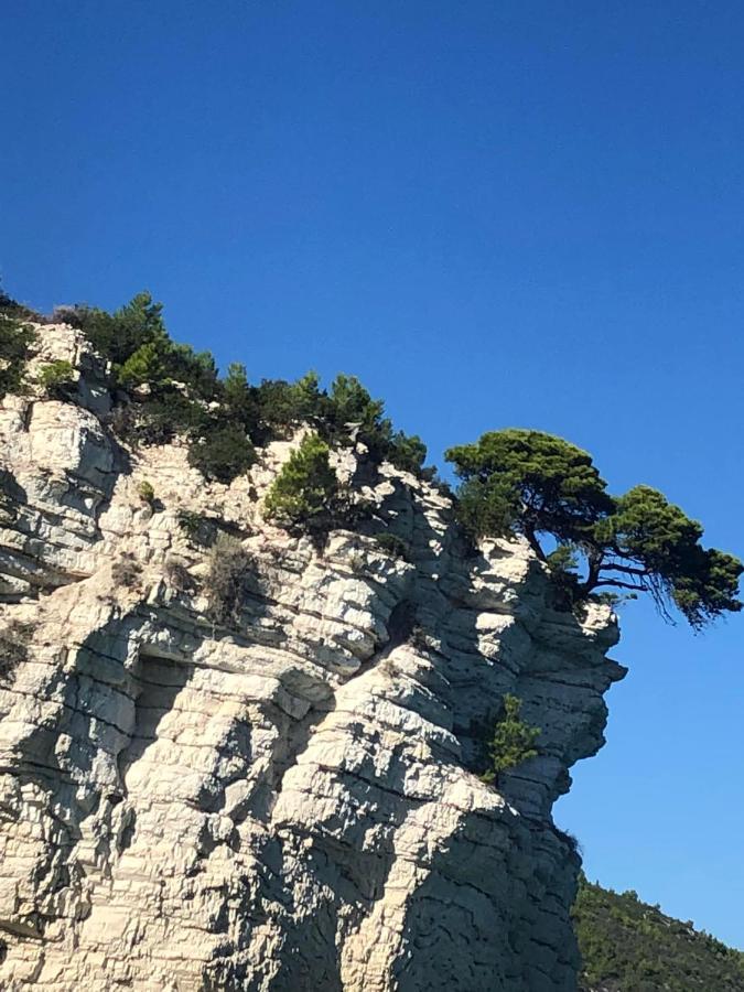 Fiore Bed And Breakfast Peschici Buitenkant foto
